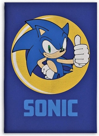 Polarowy koc Sonic