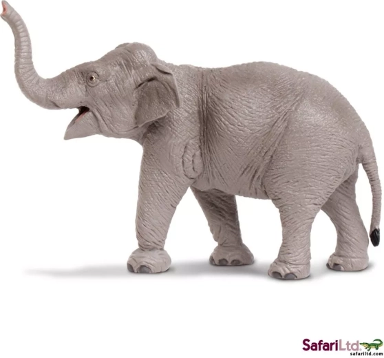 Safari Ltd. figurka słonia indyjskiego