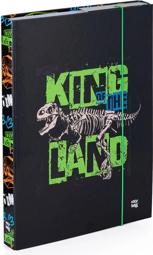 Box na zeszyty A4 Premium dinozaur