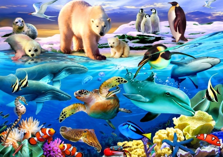 Puzzle Bluebird Ocean życia 1000 elementów