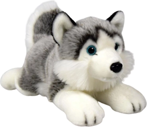Pluszowy pies husky Dubi 27 cm