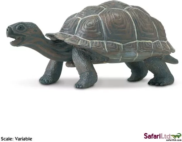 Safari Ltd. figurka młodego żółwia galapagoskiego - 1 szt.