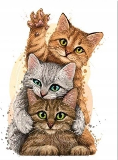 Malowanie diamentowe Kocia piramida 30 × 40 cm