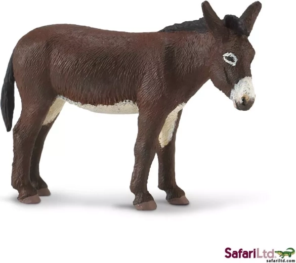 Safari Ltd. osioł
