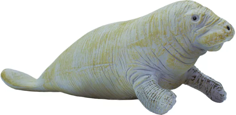 Manat Safari Ltd. - 1 szt.