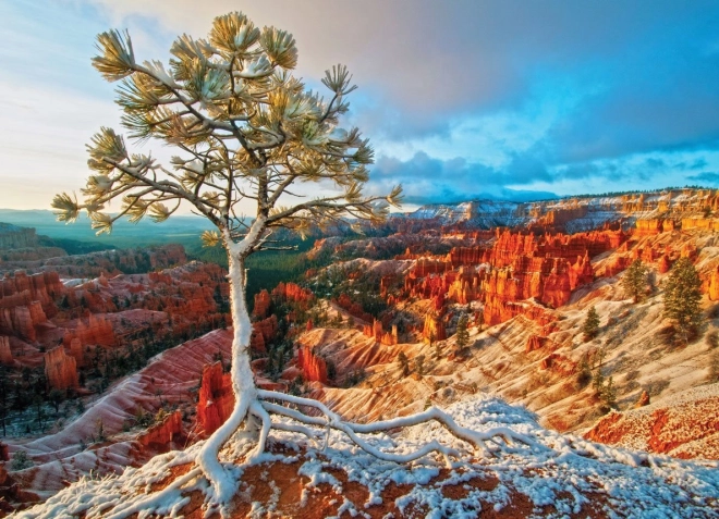 Puzzle EUROGRAPHICS zimowy świt, Bryce Canyon (1000 elementów)