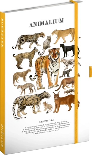 Notique Notes Animalium – kotowate drapieżniki (notes w linie) 13 × 21 cm