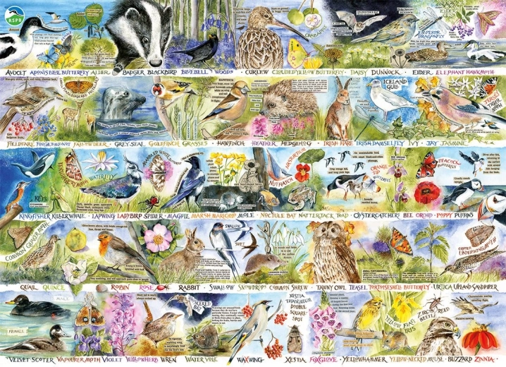 Puzzle GIBSONS RSPB urok wiosennej przyrody 1000 elementów