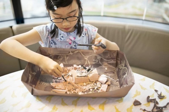 Szkielet dinozaura - Brachiosaurus