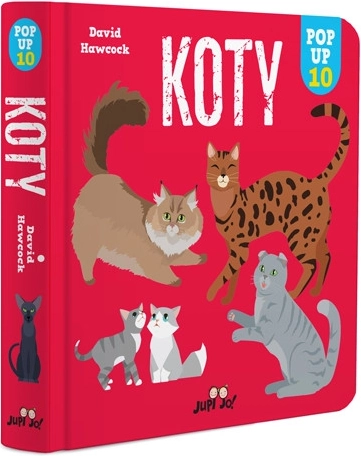 Pop-up koty – interaktywna książka dla dzieci
