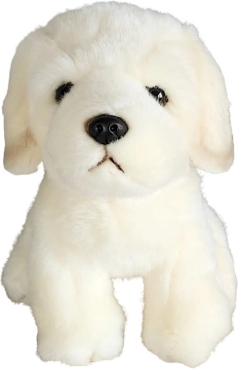 Pluszowy pies golden retriever 19 cm