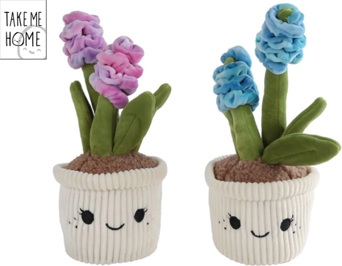 Pluszowy hiacynt Take Me Home 26,5 cm