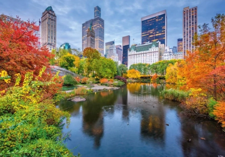 Puzzle Central Park 500 elementów