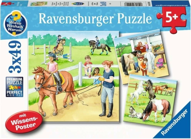 Ravensburger puzzle Dzień u koni 3×49 elementów