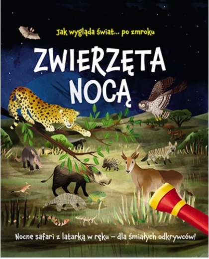 Zwierzęta w nocy – nocne safari z papierową latarką