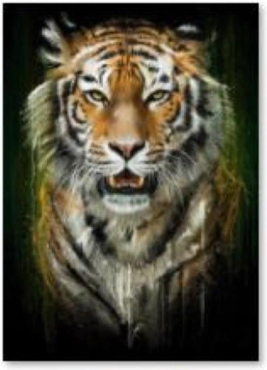 Diamentowe wyszywanie (diamond painting) tygrys - 30 × 40 cm