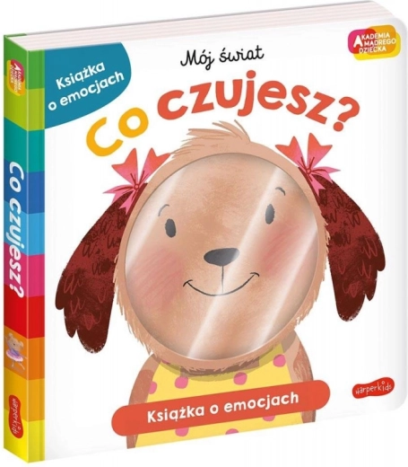 Broszura Co czujesz? Akademia mądrych dzieci