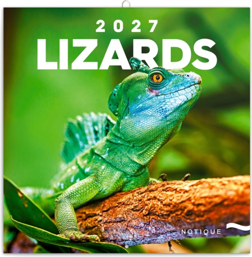 Kalendarz ścienny z miejscem na notatki Jaszczurki 2027, 30 × 30 cm