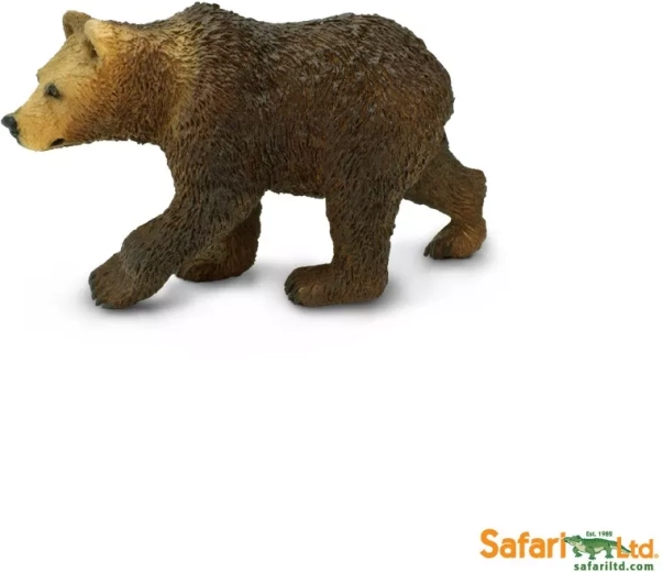 Niedźwiedź grizzly – młode