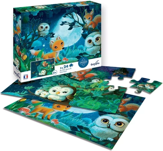 Sentosphere puzzle w świetle księżyca