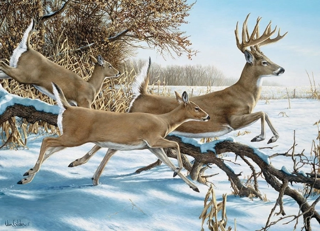 COBBLE HILL puzzle Ucieczka – 1000 elementów