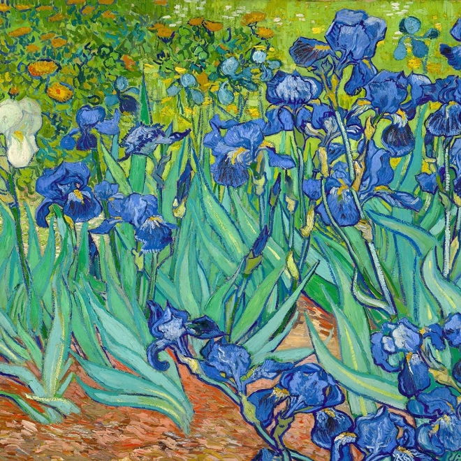 Ciesz się Puzzle Vincent Van Gogh: Irysy 1000 elementów