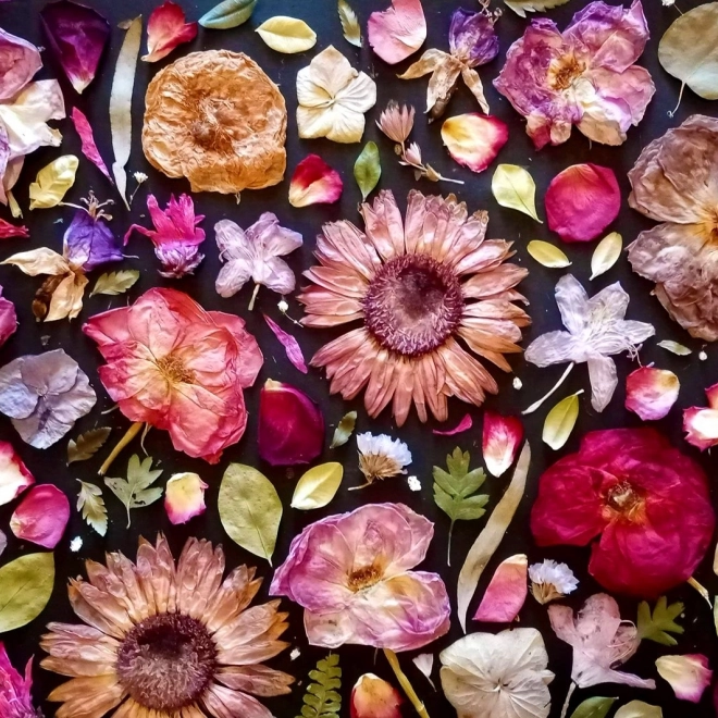 Ciesz się puzzle różowe 1000 elementów