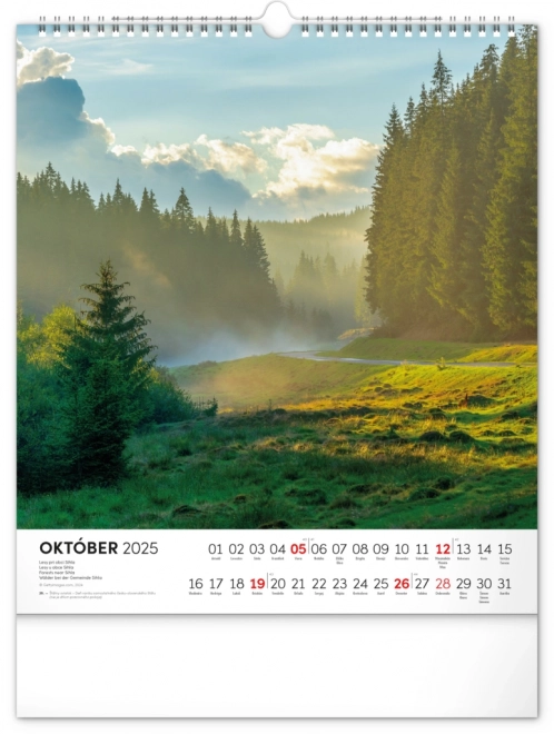 NOTIQUE Kalendarz ścienny Czarowne Słowacja 2025, 30 x 34 cm