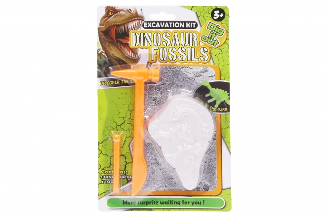 Wykopalisko dino 11x7x2,5 cm