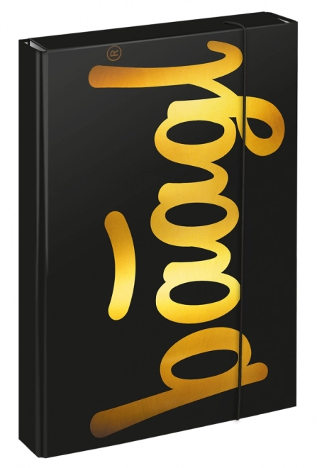 Teczki na zeszyty szkolne A4 Jumbo Gold