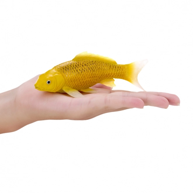 Mojo karp koi Matsuba