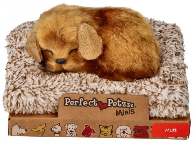 Mały piesek Perfect Petzzz