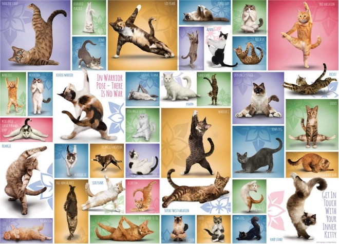 Puzzle Kocia Joga 1000 elementów