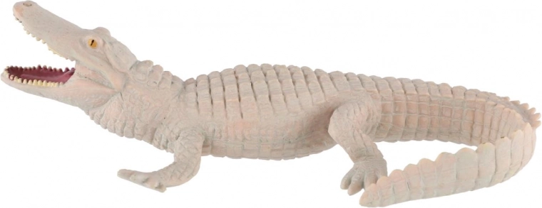 Wytrzymały plastik do codziennej zabawy