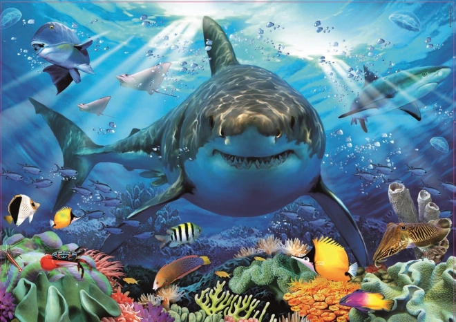 Puzzle Biały Rekin 500 elementów