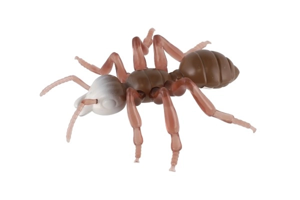 Antystresowa Mrówka
