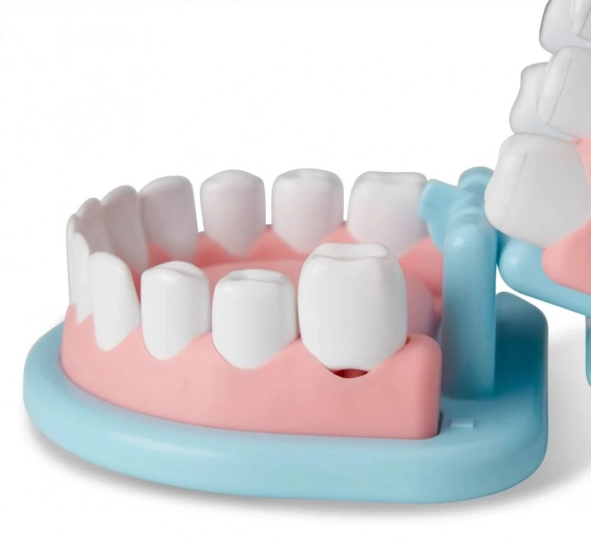 Zestaw dentystyczny