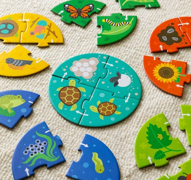 Petit Collage Puzzle Odkrywcy Cykl życia