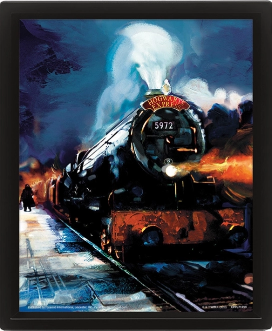 Obraz 3D Harry Potter – Ekspres do Hogwartu