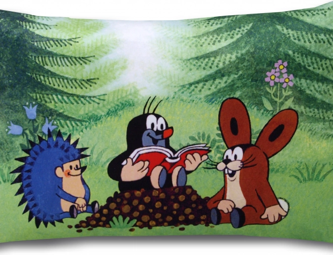 Poduszka Krtek czytelnicy 45x30