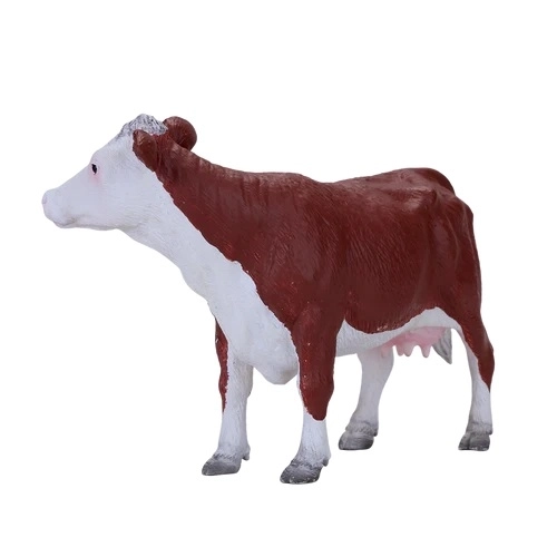 Mojo Herefordska krowa