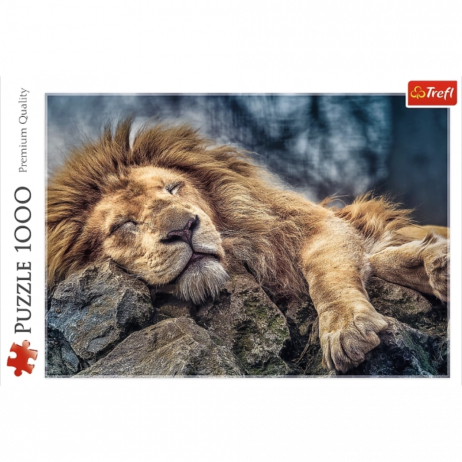 Puzzle Śpiący Lew 1000 elementów w pudełku 40x27x6cm