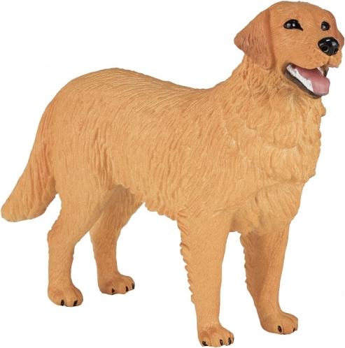 Wierne odwzorowanie golden retrievera