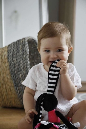 Różne faktury i szeleszczące elementy