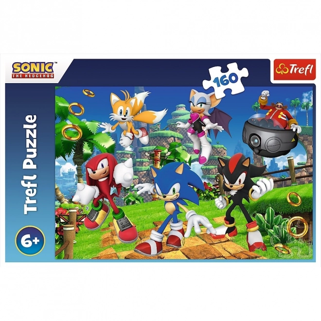 Puzzle Sonic i przyjaciele 160 elementów