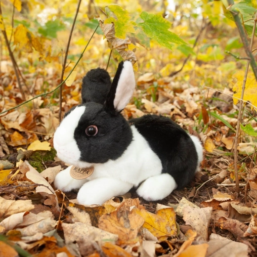 Delikatny i miękki plusz