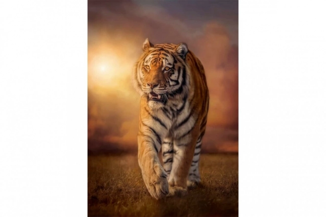 Puzzle 1000 sztuk Tygrys Clementoni