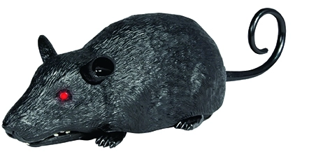 WILDROID - Szczur R/C, pudełko