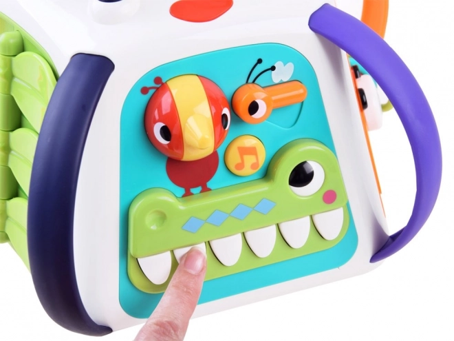 Interaktywna kostka edukacyjna Hola