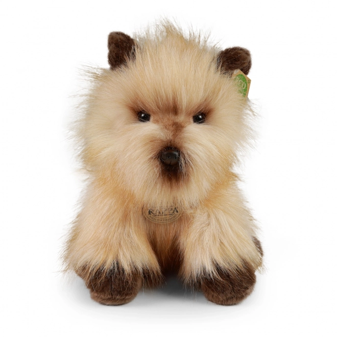Pluszowy pies cairn terrier 30 cm ECO-FRIENDLY